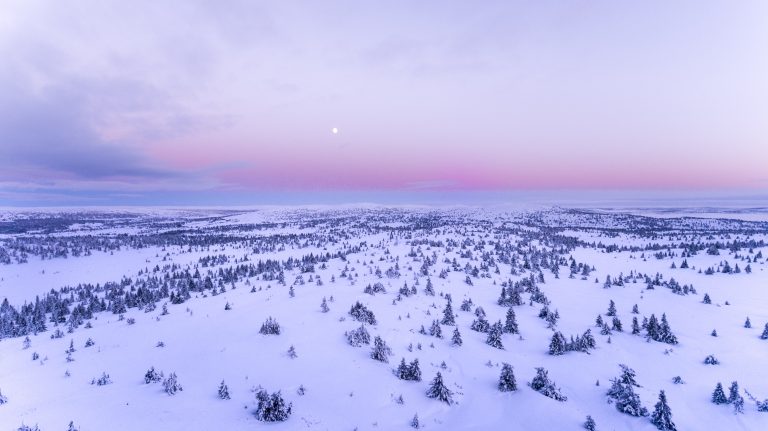 The Wild Hunt: What Rides the Winter Sky (And Why It Still Matters)