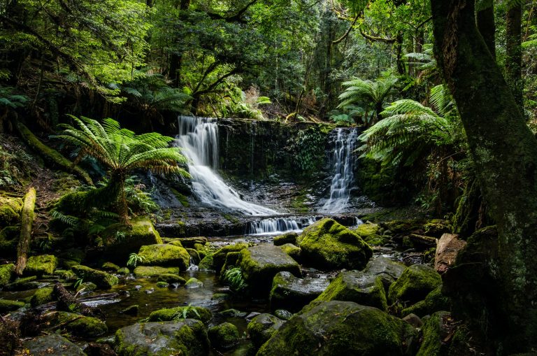 The Face in the Leaves: The Green Man and the Folklore of Nature Spirits